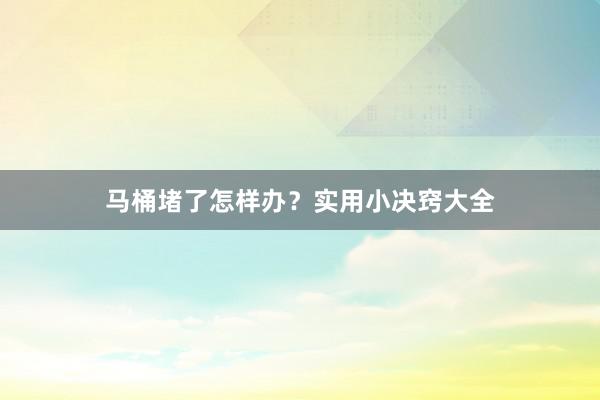 马桶堵了怎样办?实用小决窍大全